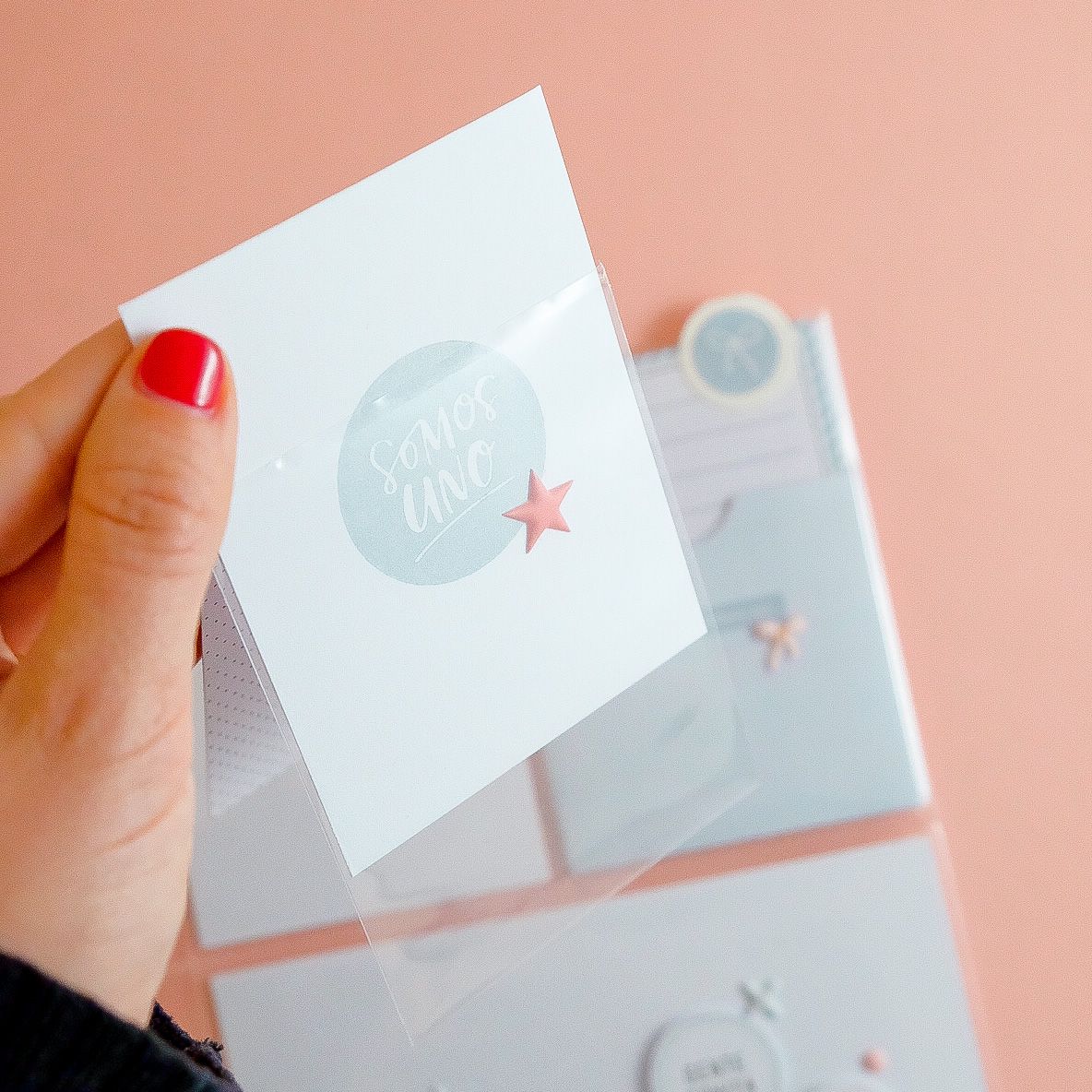 Fundas Kimidori Colors Photoflip
Surtido