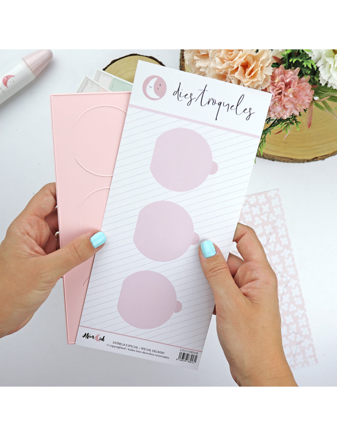 Ventanas troquel | Alúa Cid