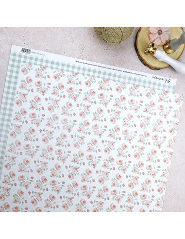 Solosiescontigo Salmón cardboard