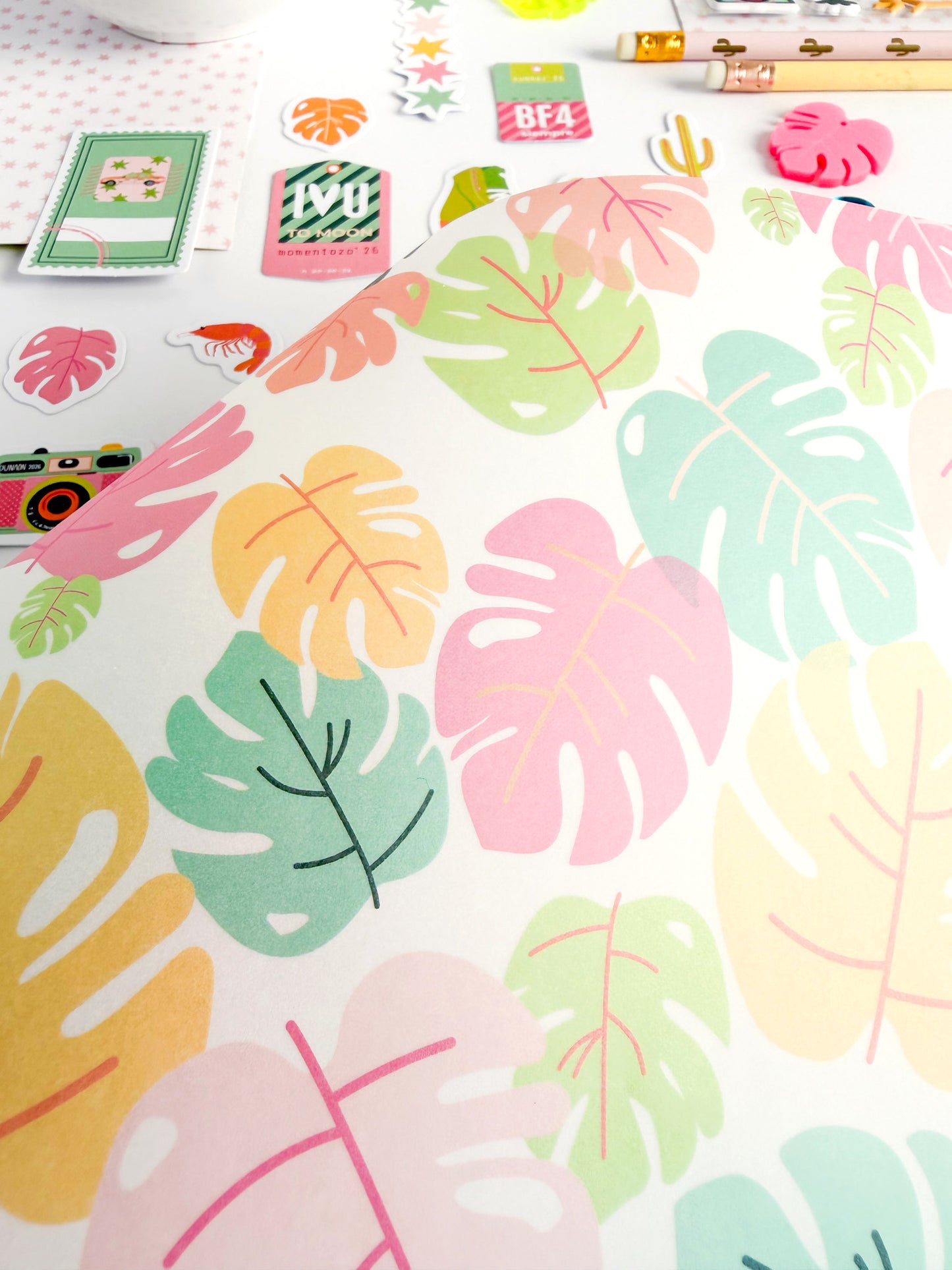 Vellum monsteras Tropic