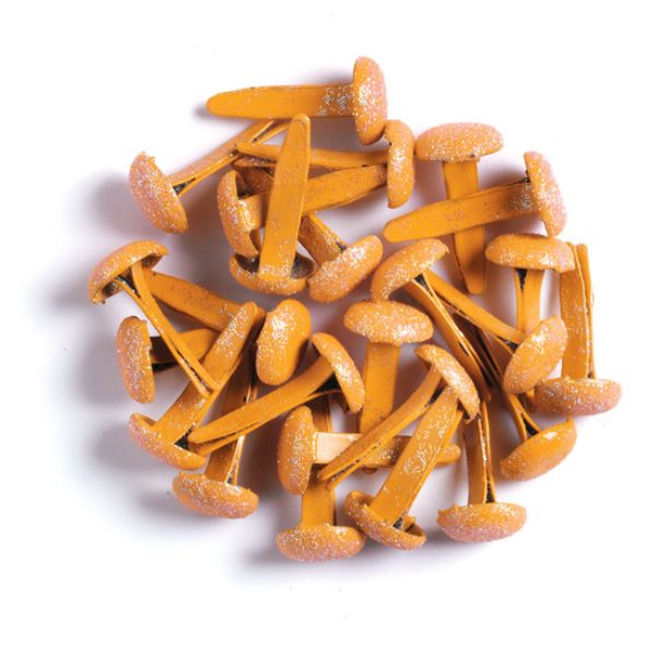 tangerine sugar coated brads