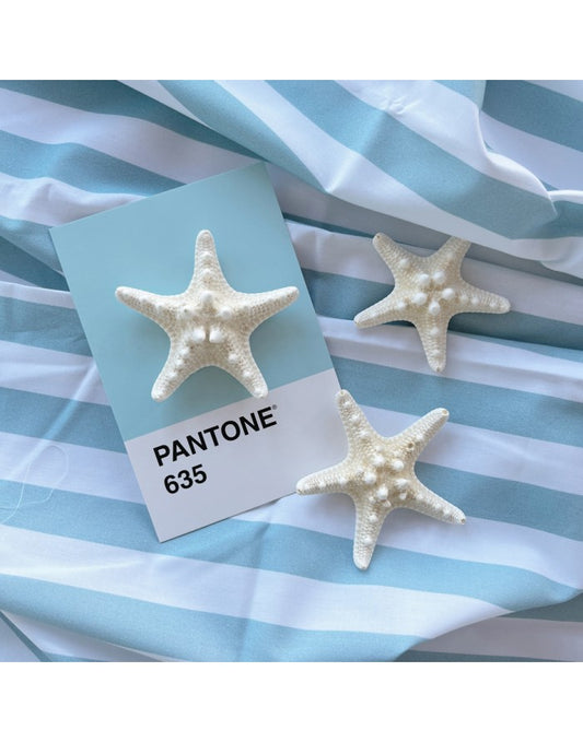 LIsta de piscicina cotto fabric