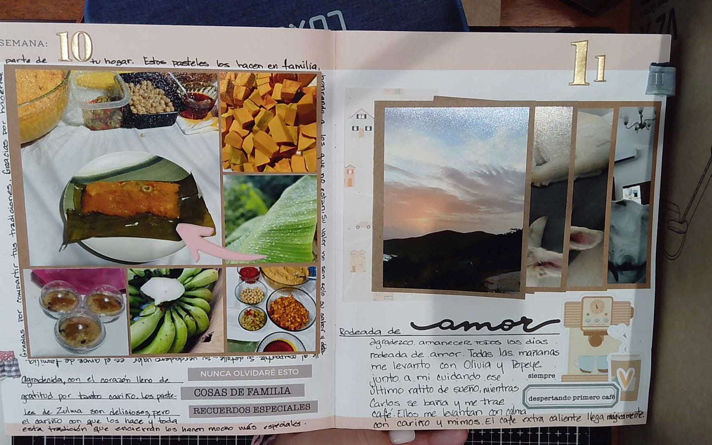 Diario de Agradecimiento Kit