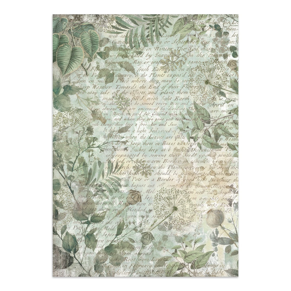 Stamperia Junk Journal Stickers, Cut-outs And Backgrounds - Herbarium Silvae