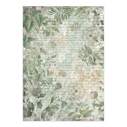 Stamperia Junk Journal Stickers, Cut-outs And Backgrounds - Herbarium Silvae