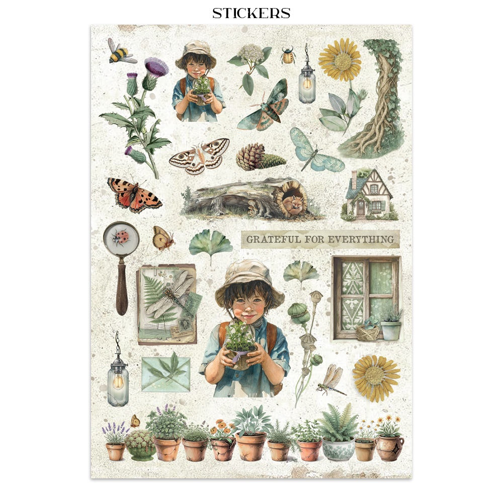 Stamperia Junk Journal Stickers, Cut-outs And Backgrounds - Herbarium Silvae