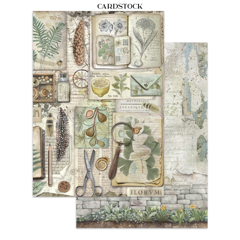 Stamperia Junk Journal Stickers, Cut-outs And Backgrounds - Herbarium Silvae