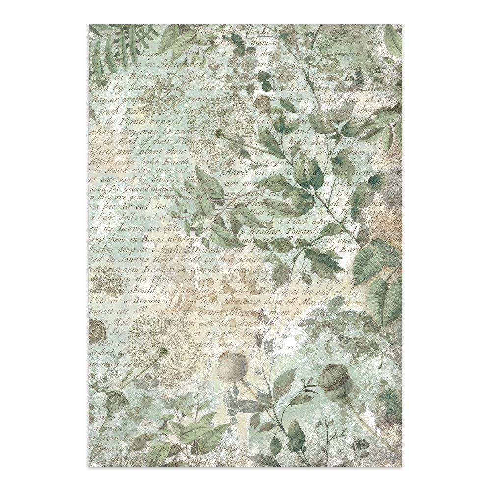 Stamperia Junk Journal Stickers, Cut-outs And Backgrounds - Herbarium Silvae