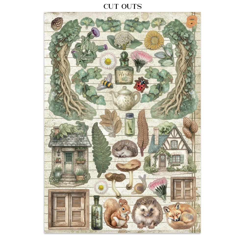 Stamperia Junk Journal Stickers, Cut-outs And Backgrounds - Herbarium Silvae