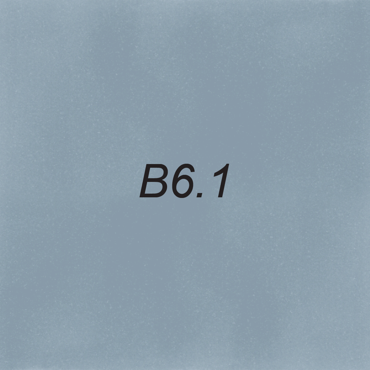 Brush – B6.1 Shark