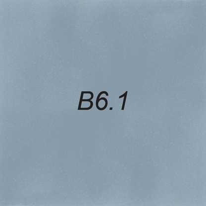 Brush – B6.1 Shark