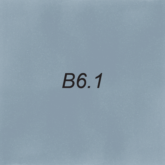 Brush – B6.1 Shark