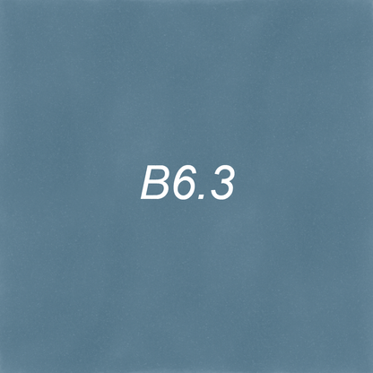Brush – B6.3 Dolphin