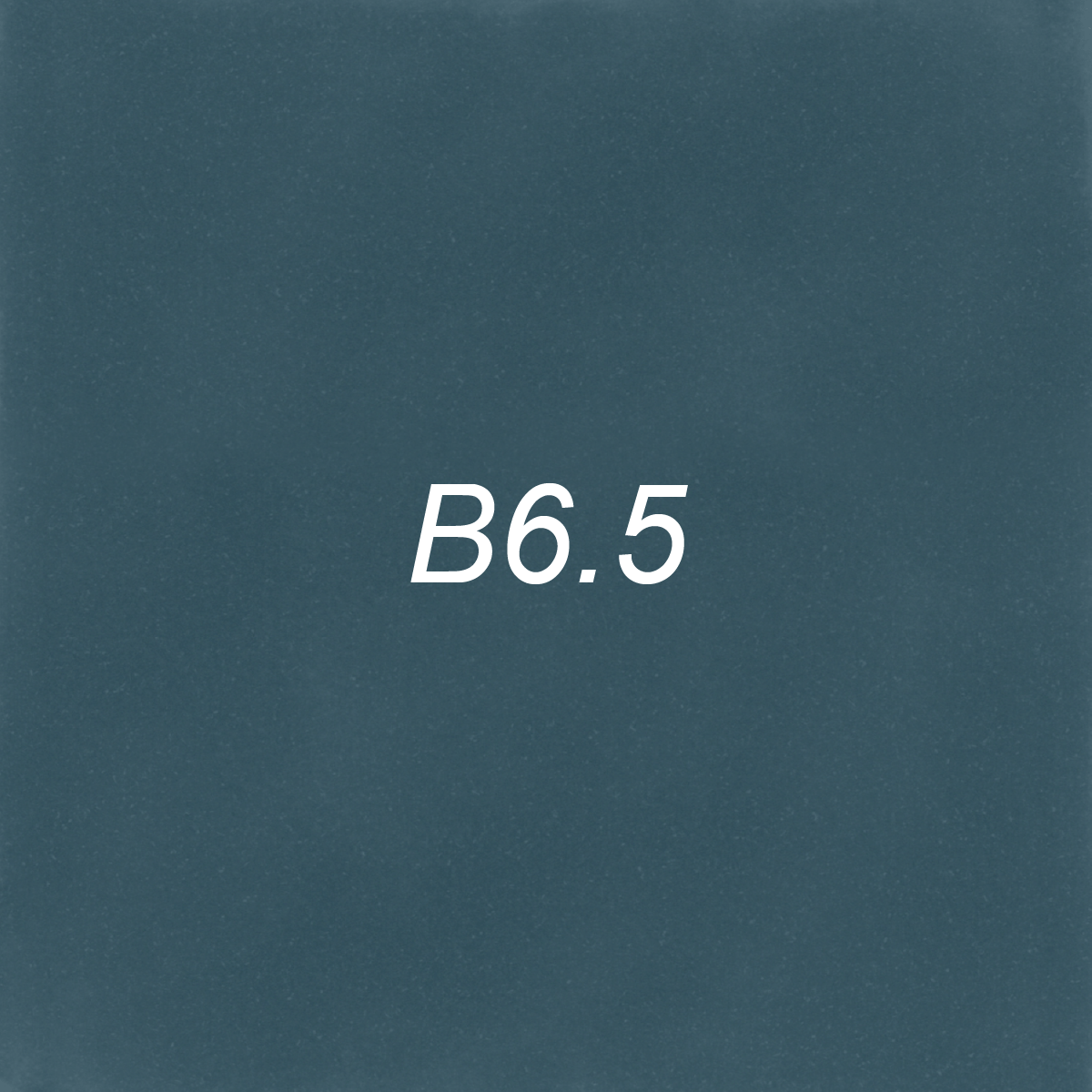 Brush – B6.5 Narwhal