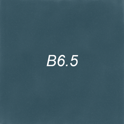 Brush – B6.5 Narwhal
