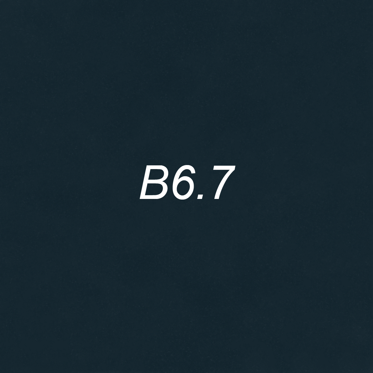Brush – B6.7 Humpback Whale