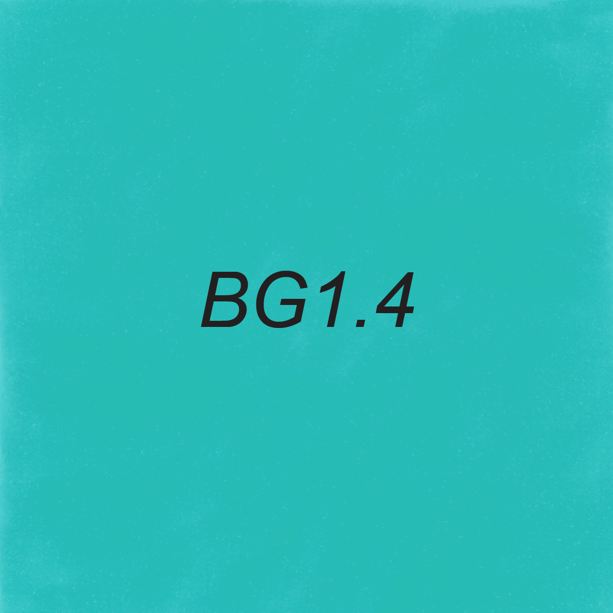 Brush – BG1.4 Robin's Egg