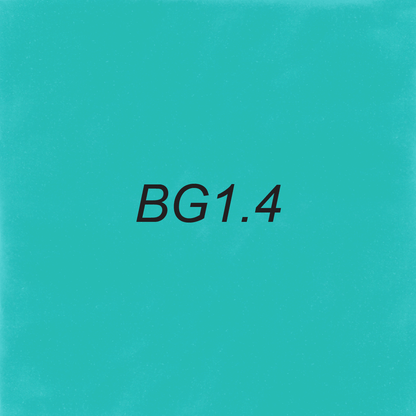 Brush – BG1.4 Robin's Egg