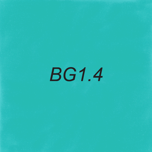 Brush – BG1.4 Robin's Egg