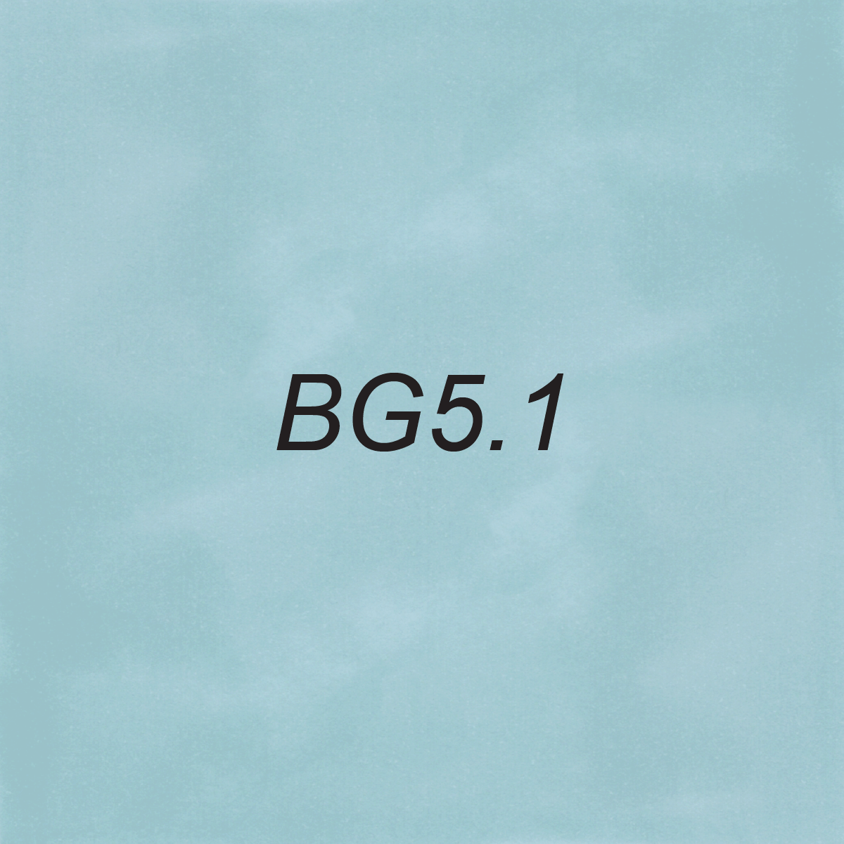 Brush – BG5.1 Ocean Mist