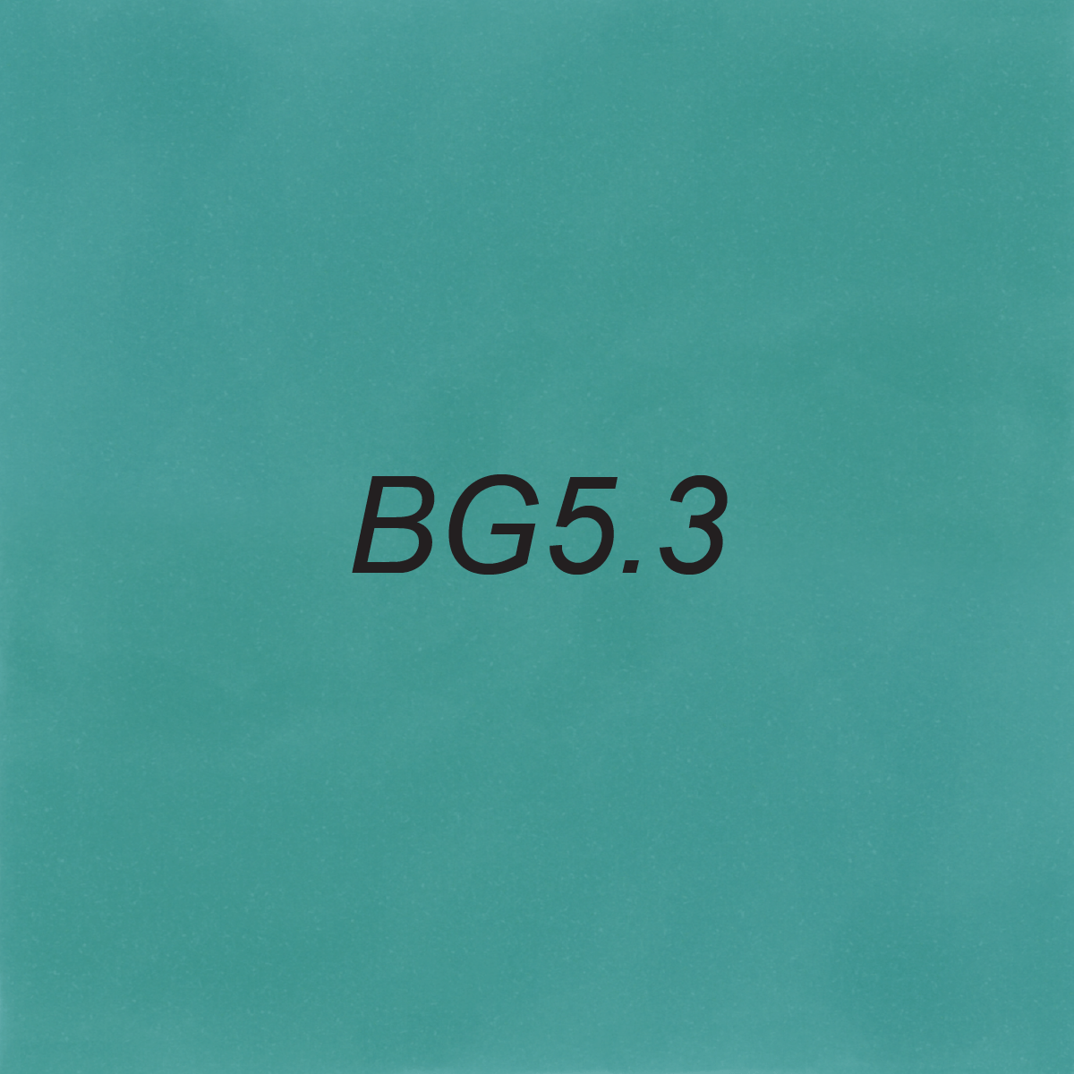 Brush – BG5.3 Mermaid