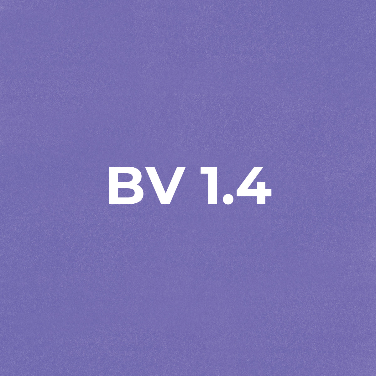 Brush - BV1.4 Wild Violet