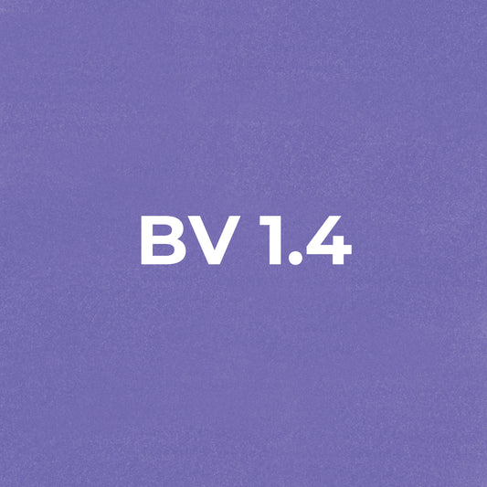 Brush - BV1.4 Wild Violet