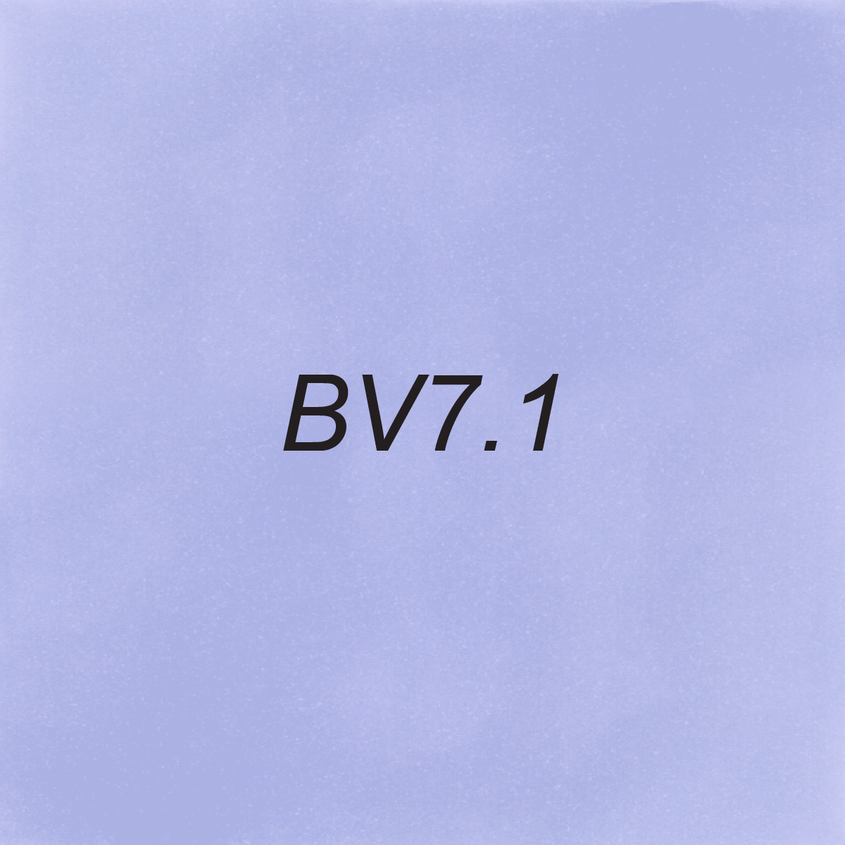 Brush – BV7.1 Fog