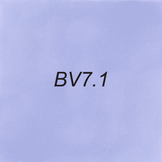 Brush – BV7.1 Fog