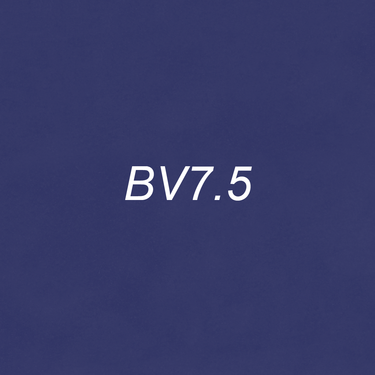Brush - BV7.5 Charcoal Violet