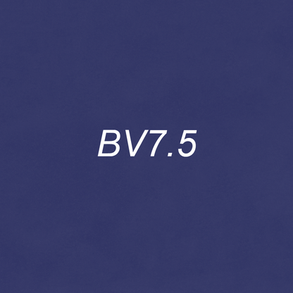 Brush - BV7.5 Charcoal Violet