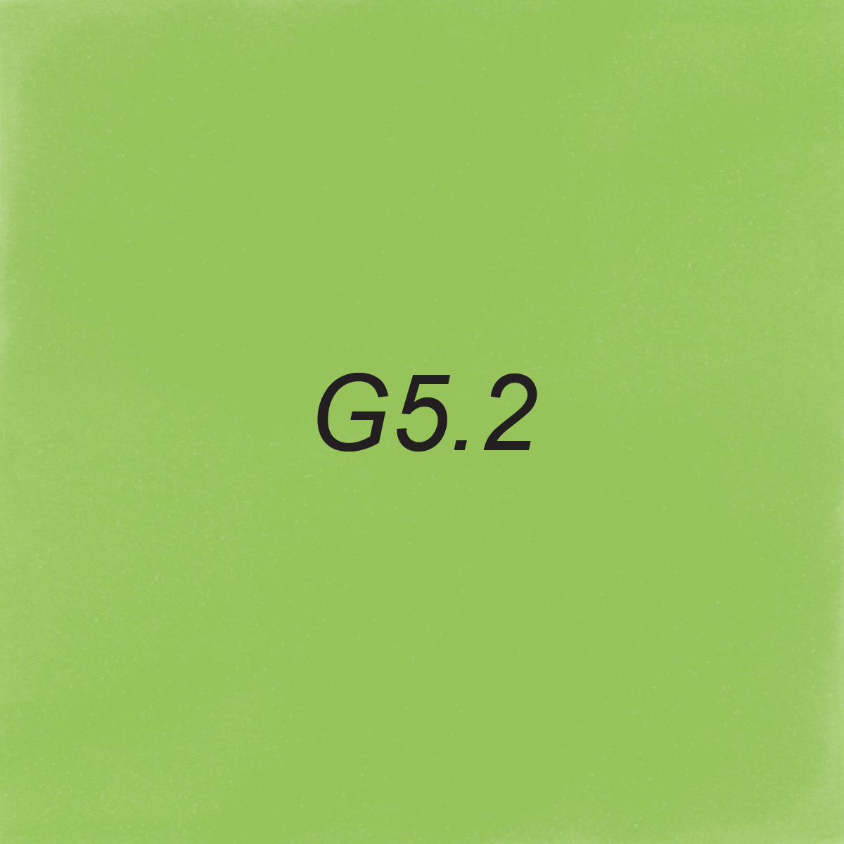 Brush – G5.2 Luna Moth