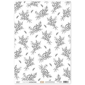 Harmonie Calques Kit