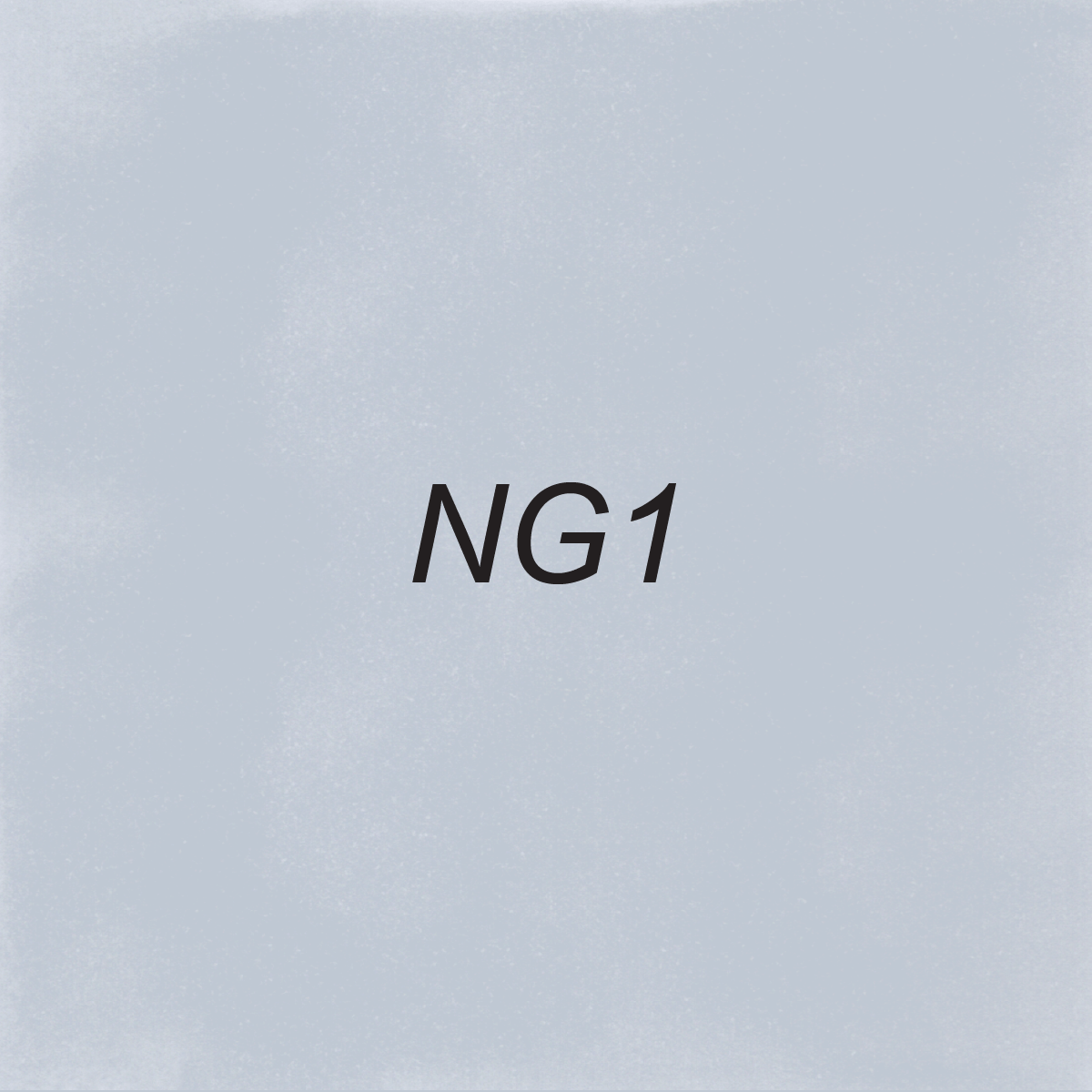 Brush – NG1 Neutral Gray 1