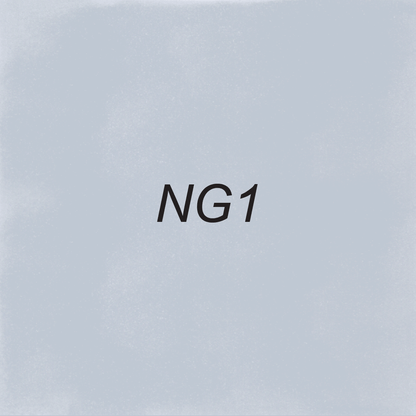 Brush – NG1 Neutral Gray 1
