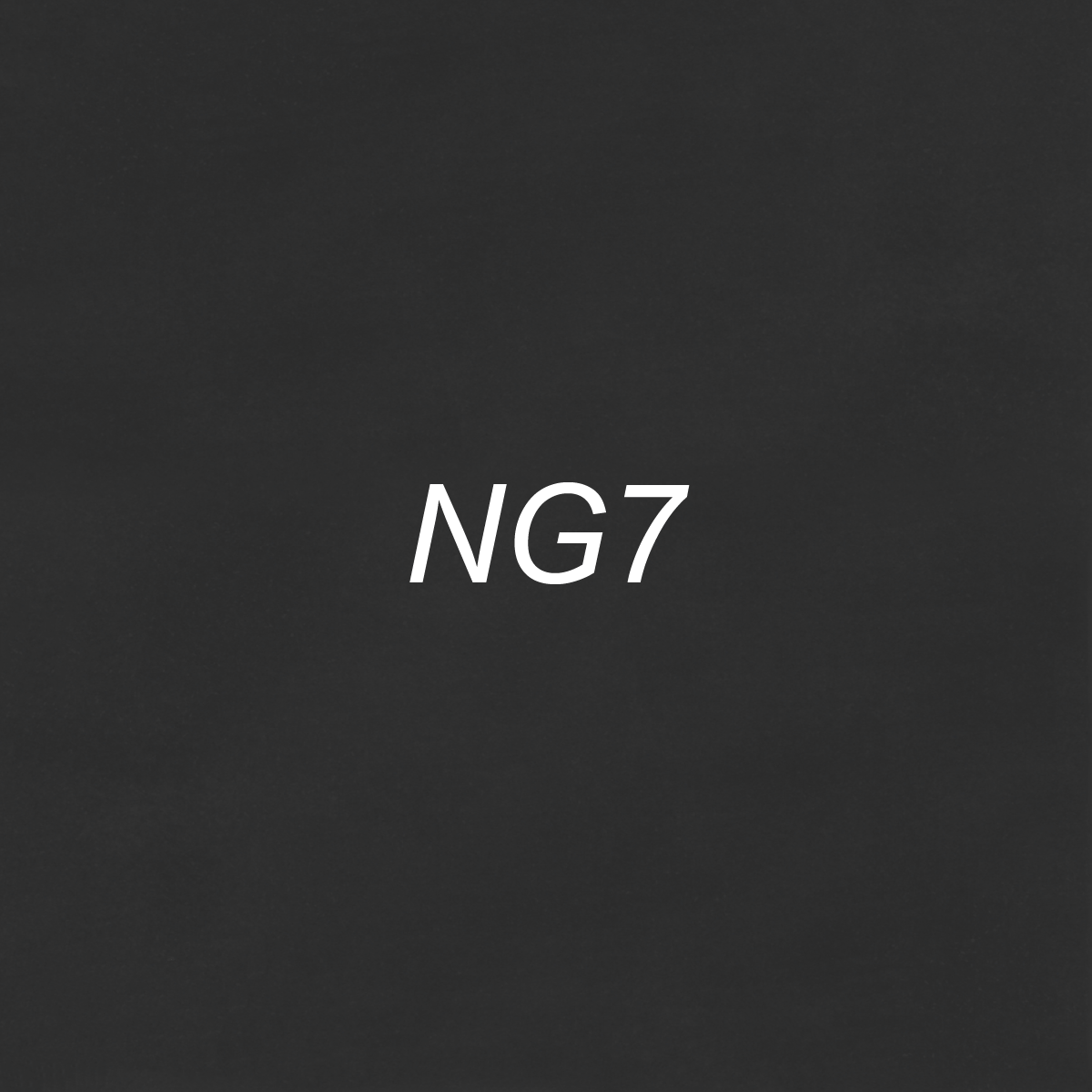 Brush – NG7 Neutral Gray 7