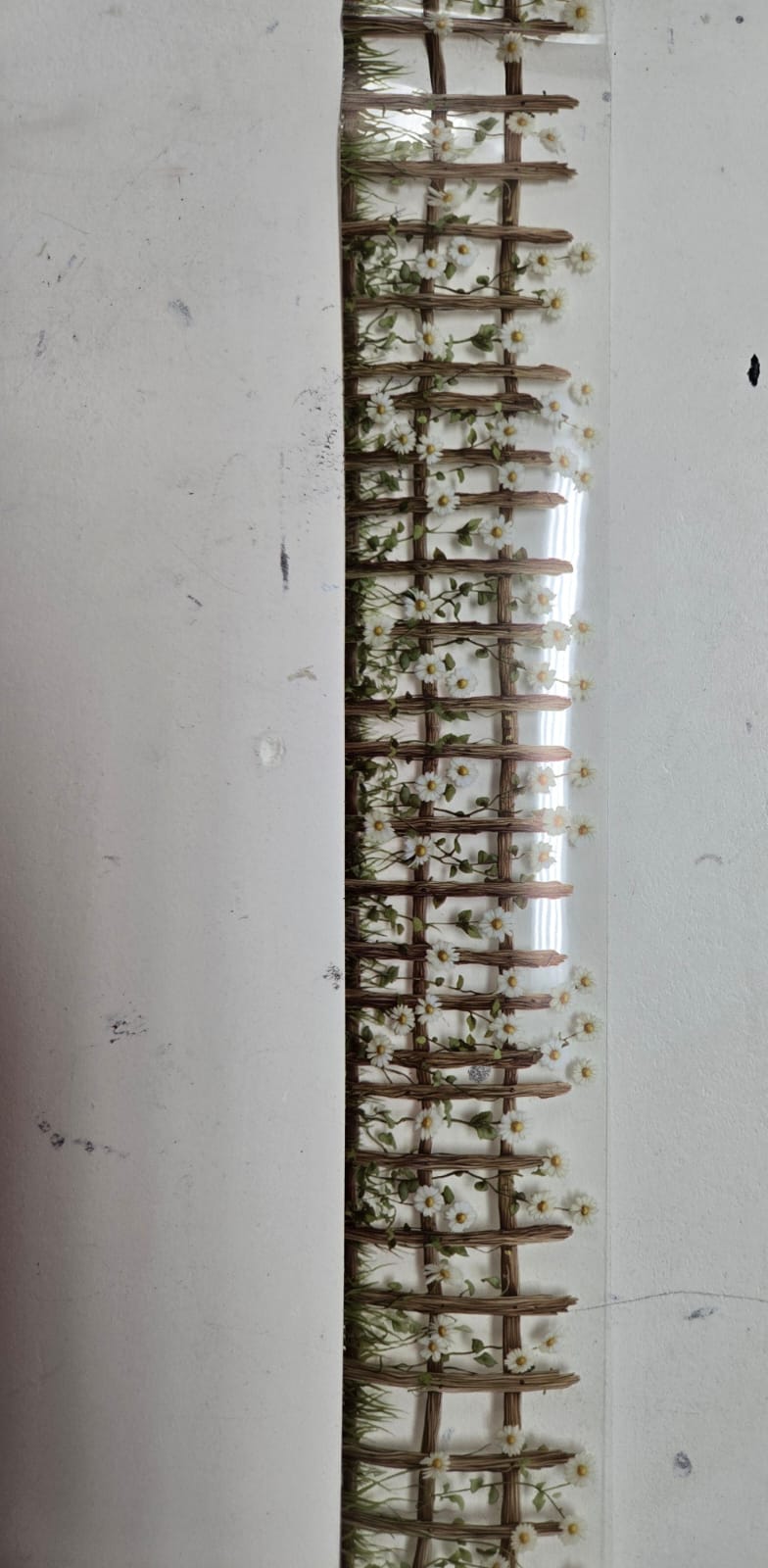 PET Tape