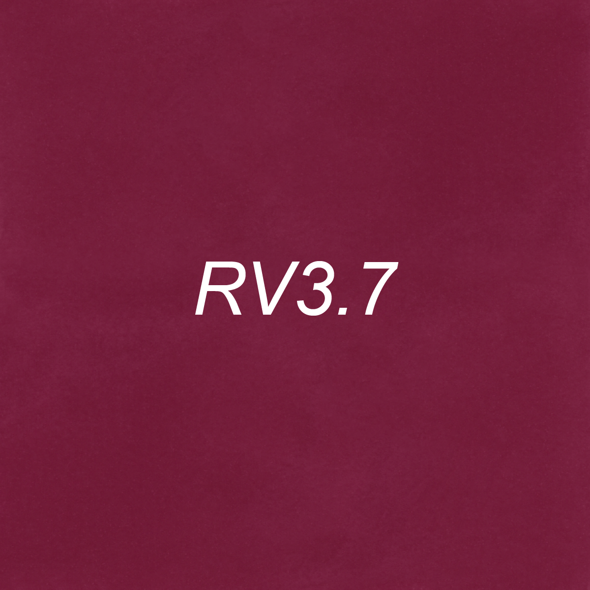 Brush – RV3.7 Prickly Pear