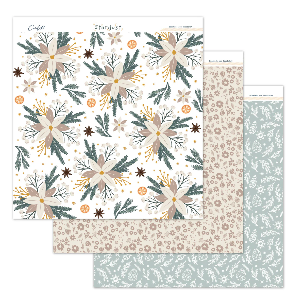 Stardust Collection Kit