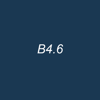Brush - B4.6 Blueberry