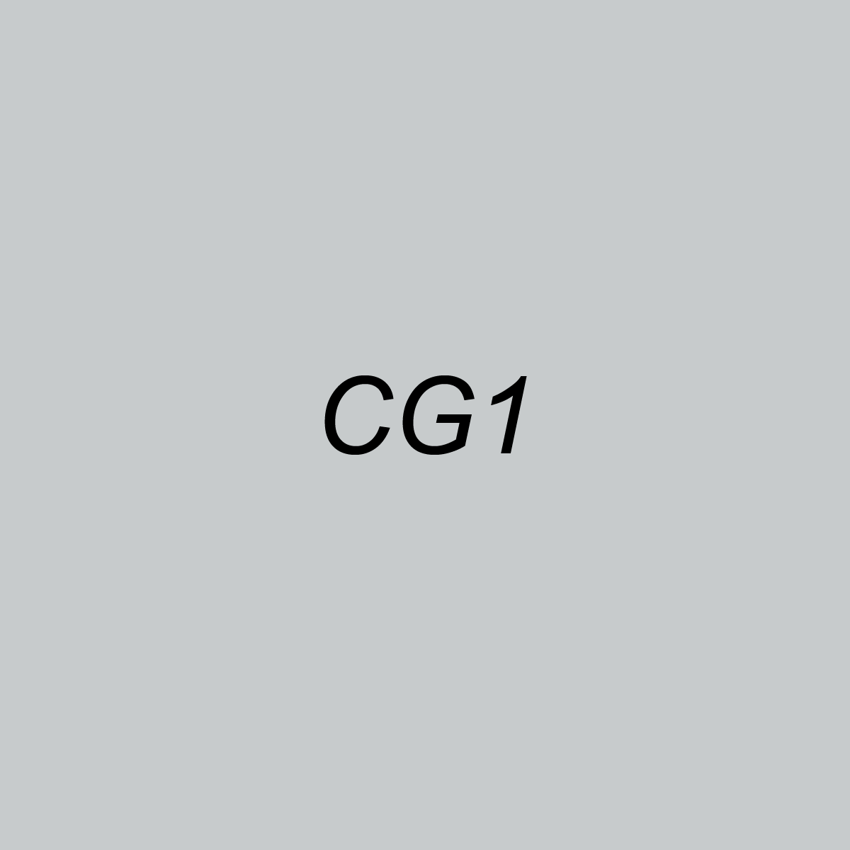 Brush - CG1 Cool Gray 1