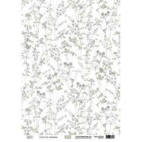 Kit calque A4 HERBARIUM