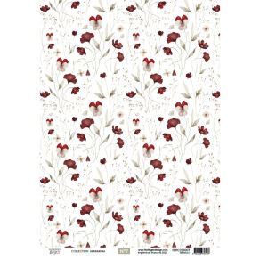 Kit calque A4 HERBARIUM