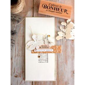 Tampons clear TEXTURES HERBARIUM
