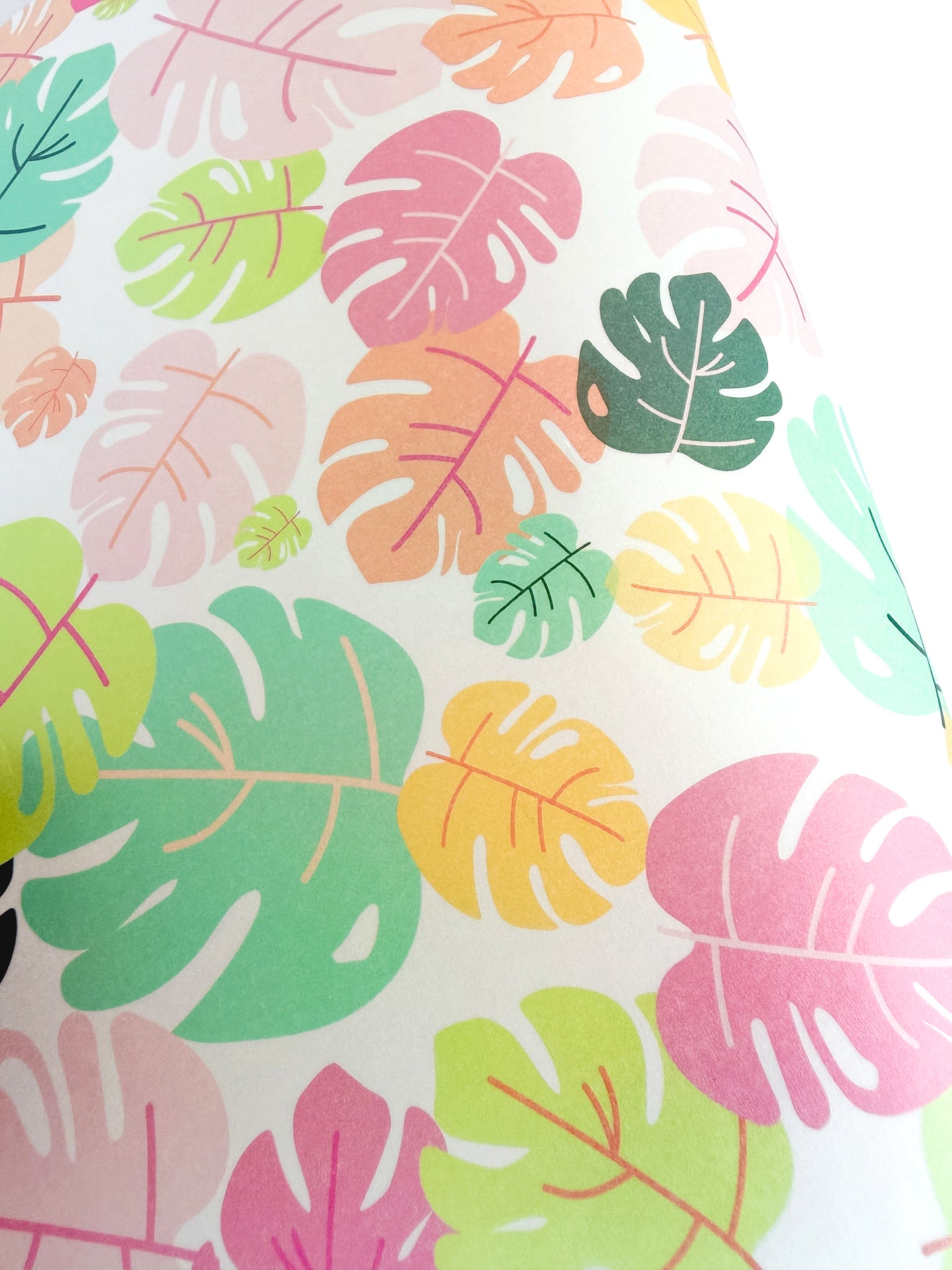 Vellum monsteras Tropic
