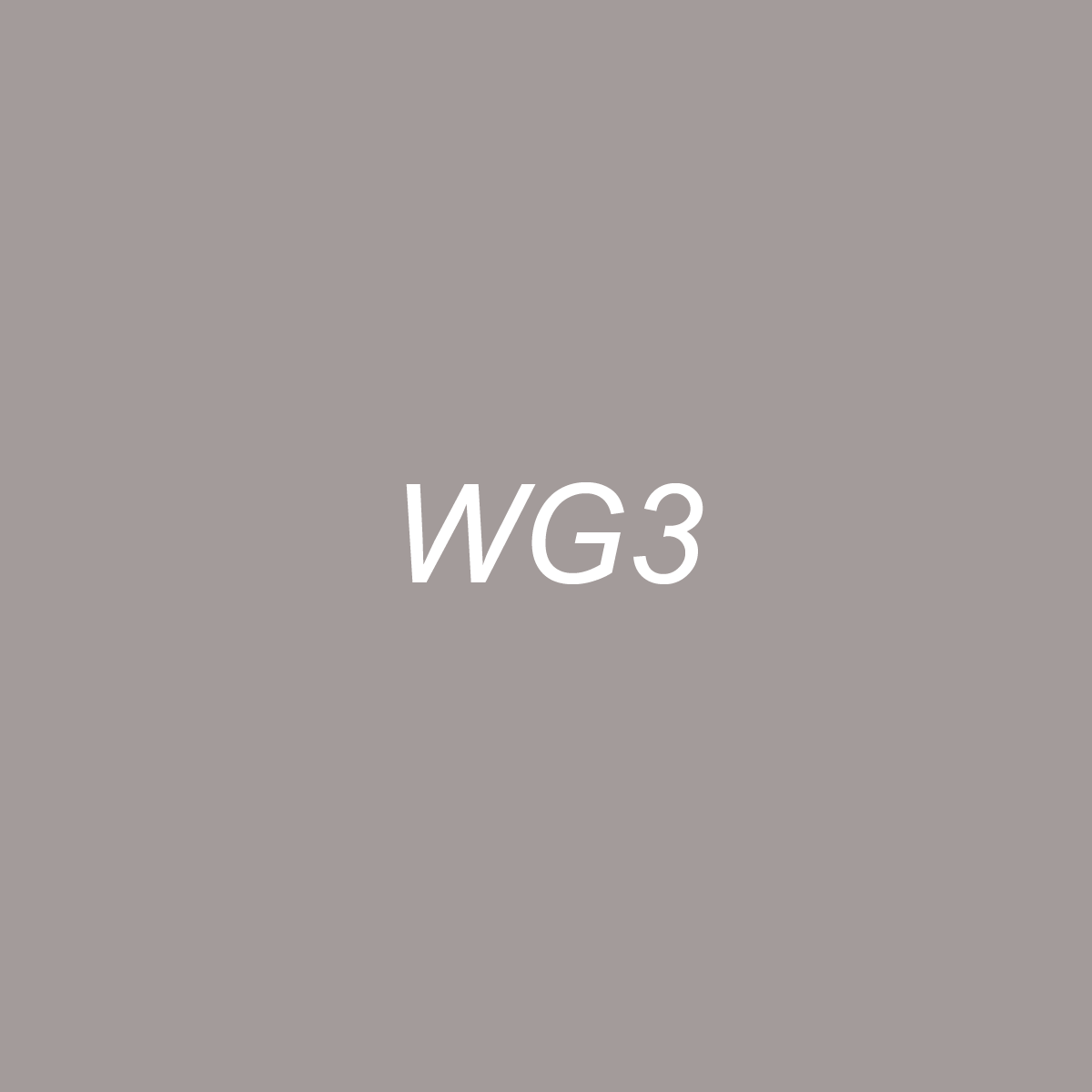 Brush - WG3 Warm Gray 3
