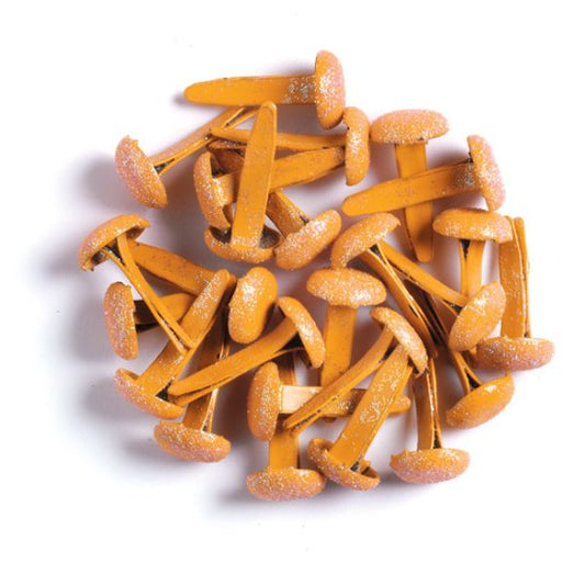 tangerine sugar coated brads