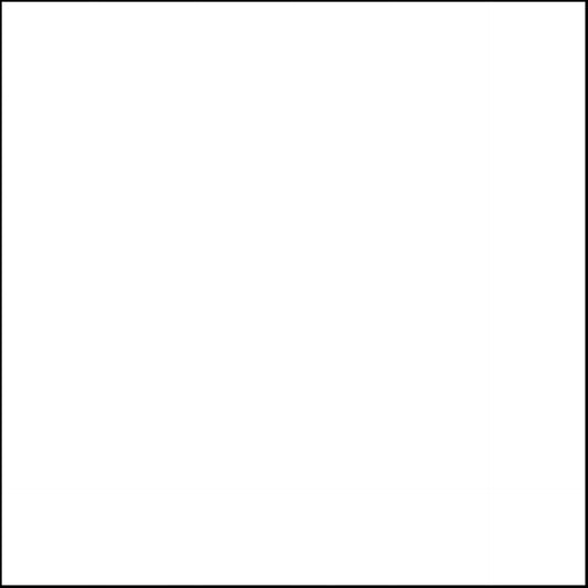 White  Cardstock sin textura