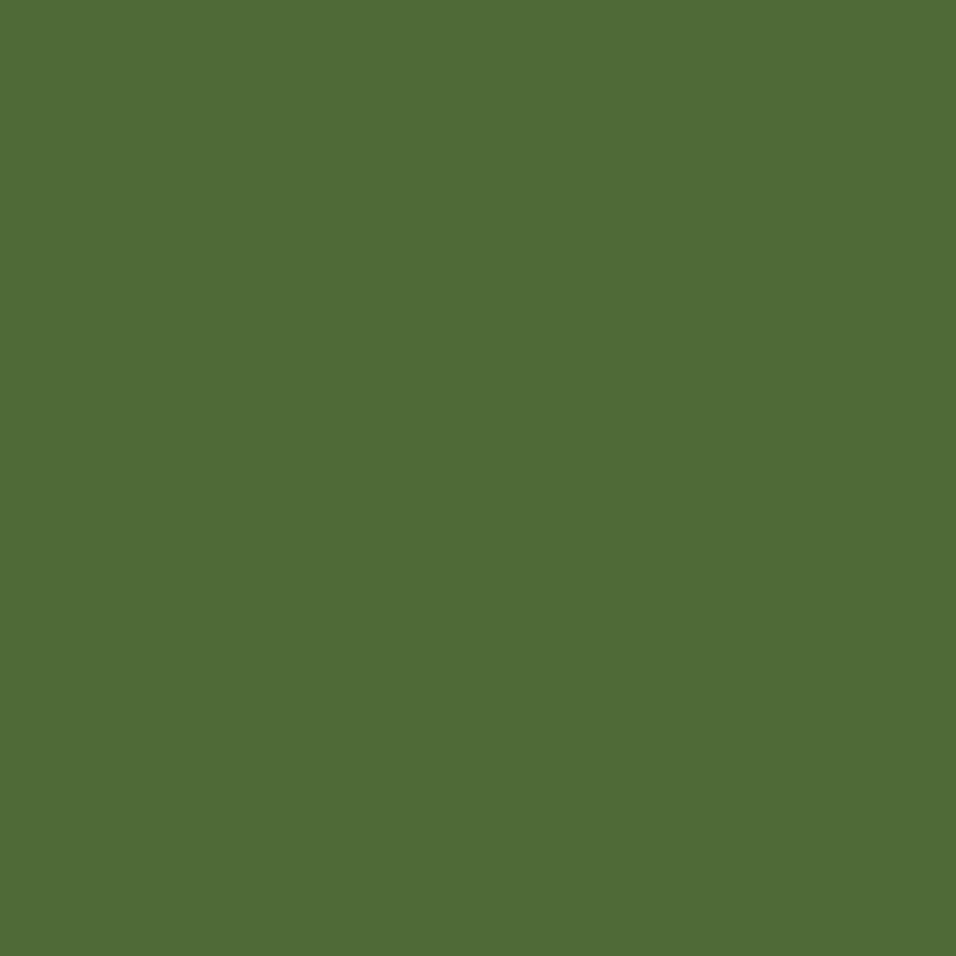 Forest Printed Cardstock