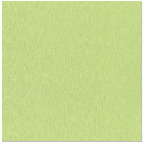 12 x 12 - Petty Cash